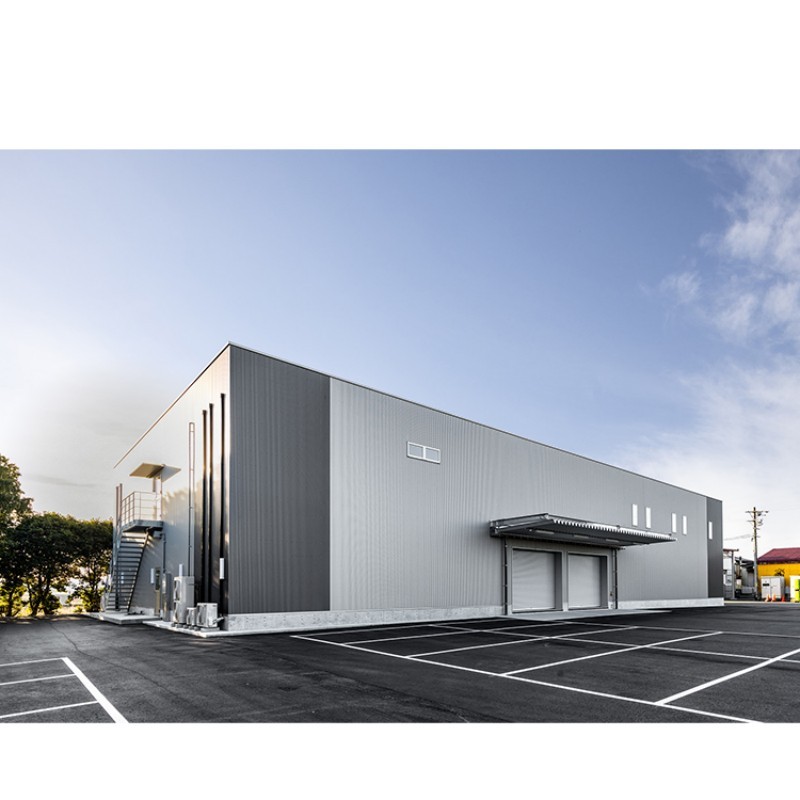 Large Span Steel Structure Building Workshop Factory Warehouse