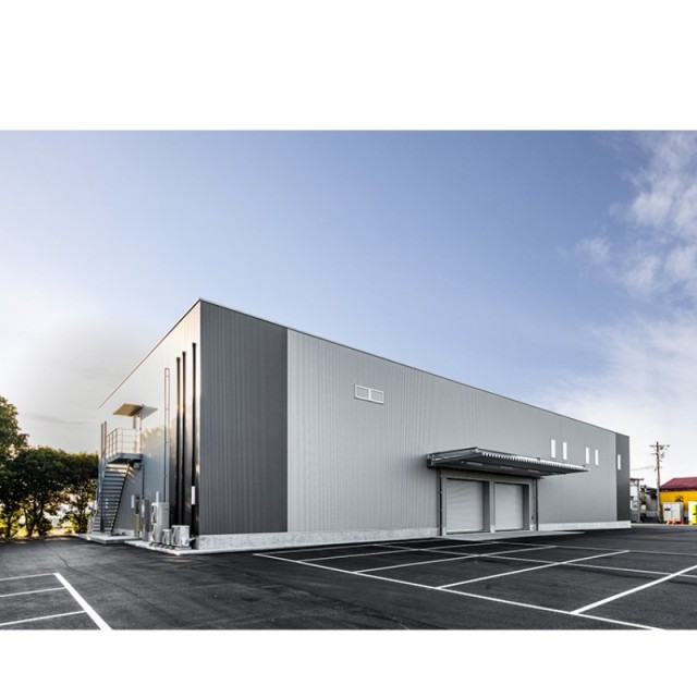 Large Span Steel Structure Building Workshop Factory Warehouse