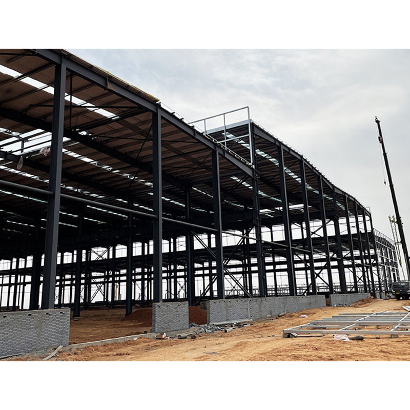 Environmentally friendly steel structure pig house / Ventilated livestock farm building