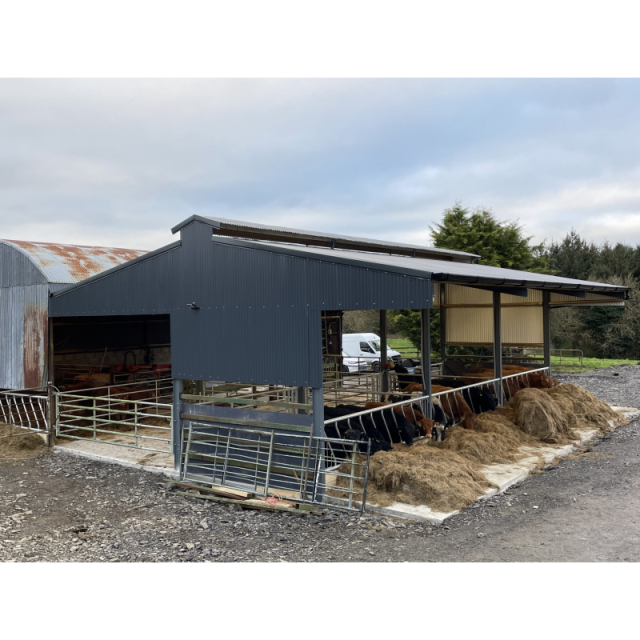 Prefab Farm Shed Building / Portable Prefab Steel Warehouse and Cattle Shed Farmhouse Building