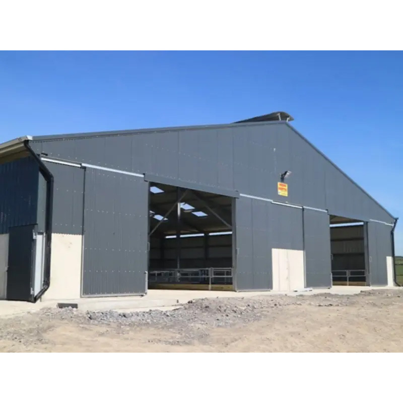 Galvanized steel structure modern pig farm / Automated pig house / Prefabricated pig pen / Cattle shed
