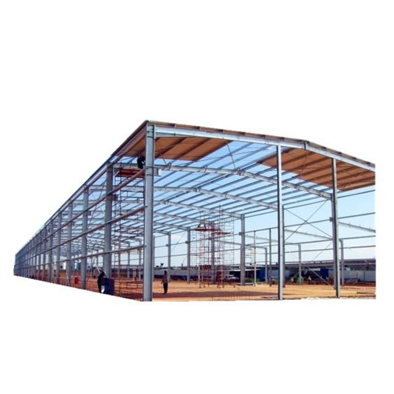Large Span Steel Structure Building Workshop Factory Warehouse