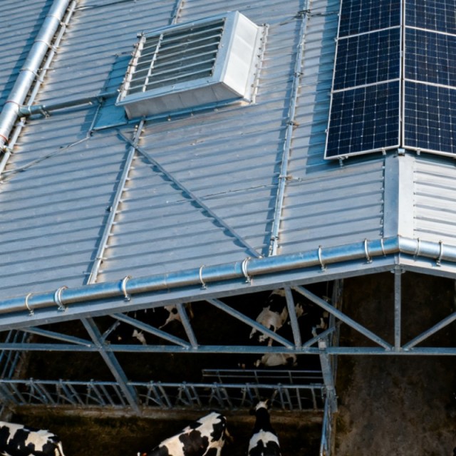 Steel Structure Design Livestock Farm Shed Goat /Cattle Farms Building