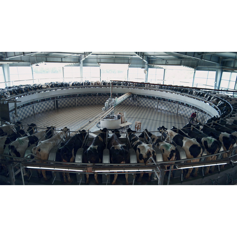 Modern Design Prefab Agricultural Steel Structure Outdoor Animal Shelter Cow Shed Farm Building for Farmhouse Use