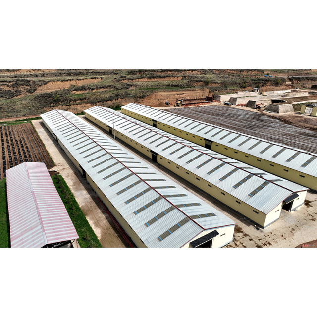 Q235/Q355 Light Prefabricated Cattle Shed Steel Structures