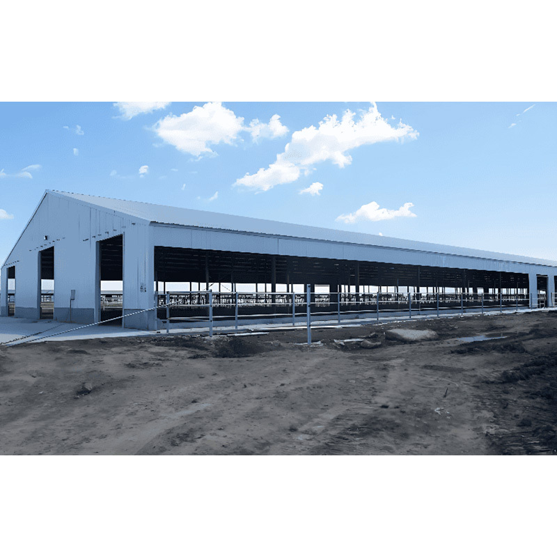 Livestock Shelter Dairy Farm Shed for Live Cattle and Goat Shed