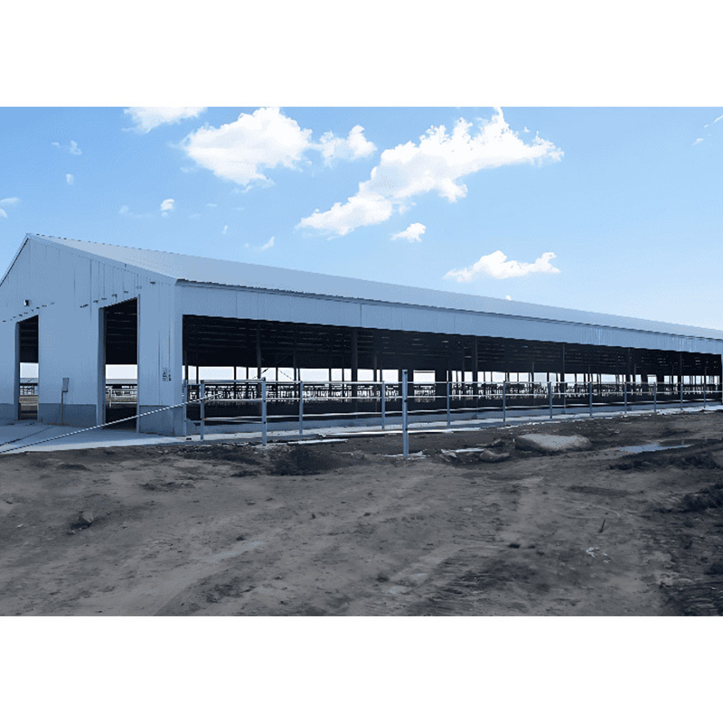 High-quality pre-designed pig farm building / Steel Structure Poultry House