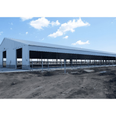 High-quality pre-designed pig farm building / Steel Structure Poultry House