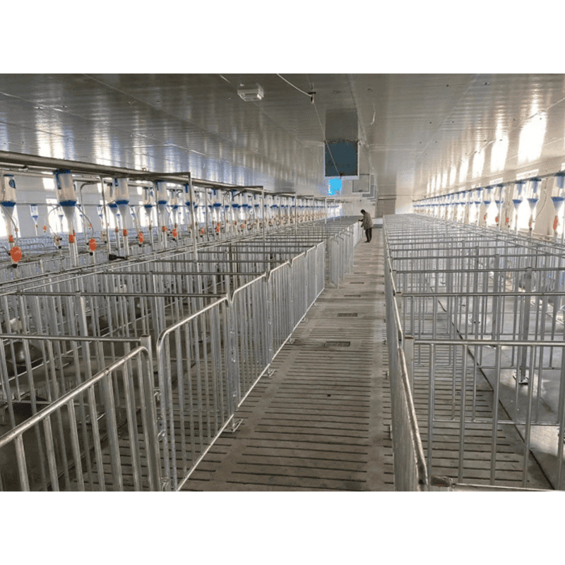 Customized Steel Structure Shed Kits Prefabricated Cow Farm Chicken /Goat / Pig Shed House/Dairy Shed