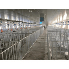 Customized Steel Structure Shed Kits Prefabricated Cow Farm Chicken /Goat / Pig Shed House/Dairy Shed