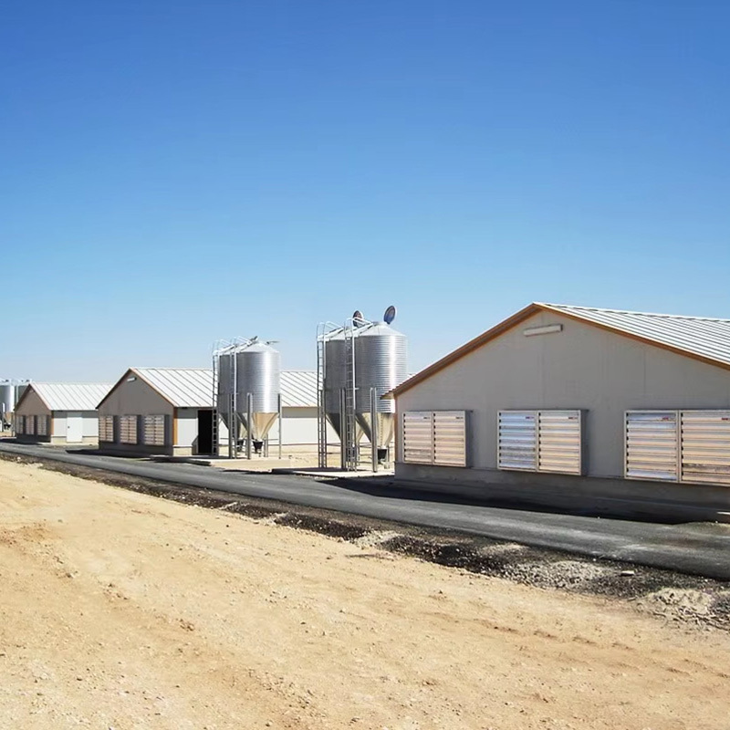 Customized prefabricated metal poultry house steel structure chicken coop