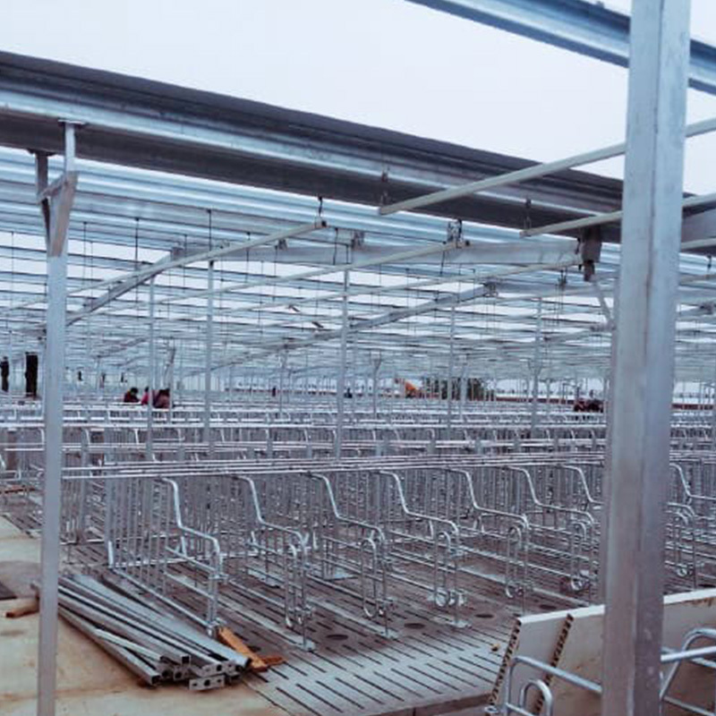 Prefabricated pigsty construction / Pigsty design for pig farms / Cattle farm / Animal shed / Steel structure pigsty