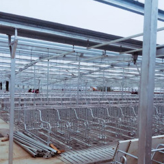Prefabricated pigsty construction / Pigsty design for pig farms / Cattle farm / Animal shed / Steel structure pigsty
