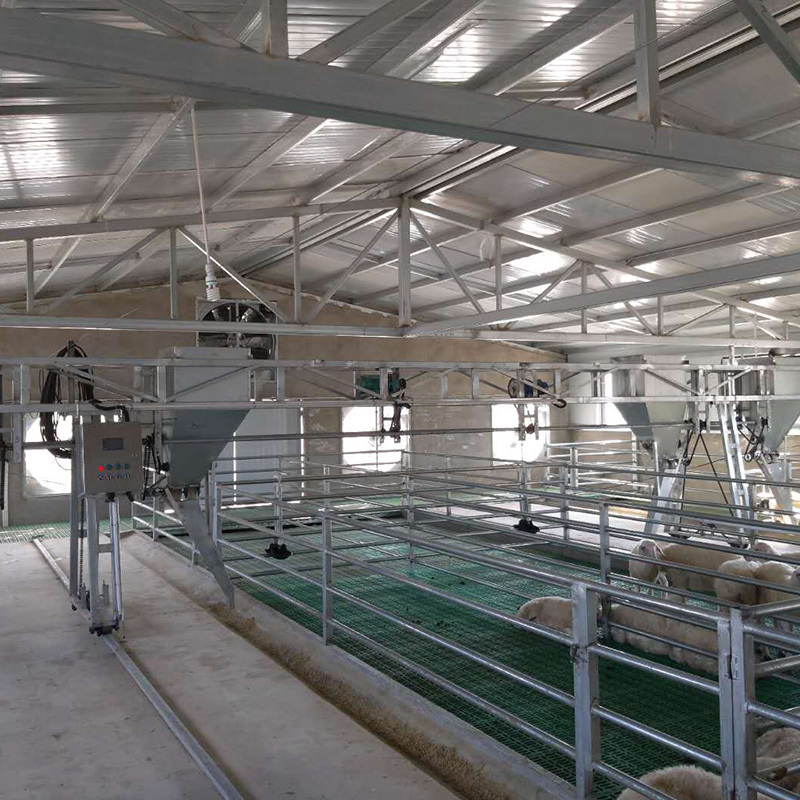Prefabricated pigsty construction / Pigsty design for pig farms / Cattle farm / Animal shed / Steel structure pigsty