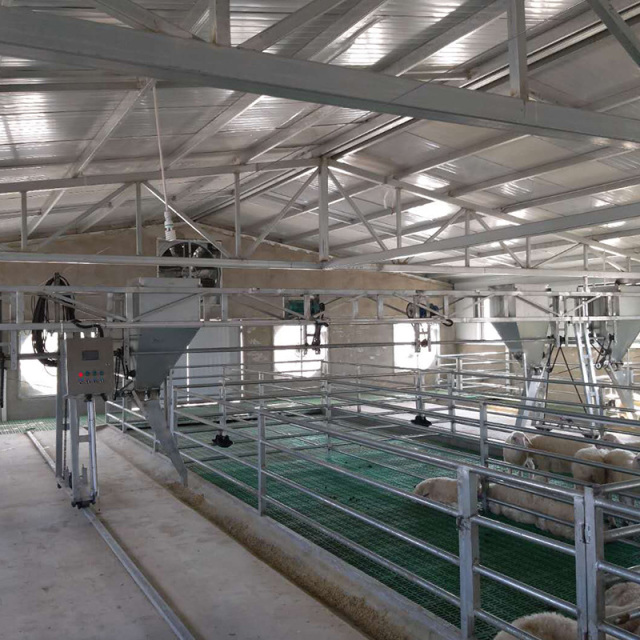 Prefabricated pigsty construction / Pigsty design for pig farms / Cattle farm / Animal shed / Steel structure pigsty