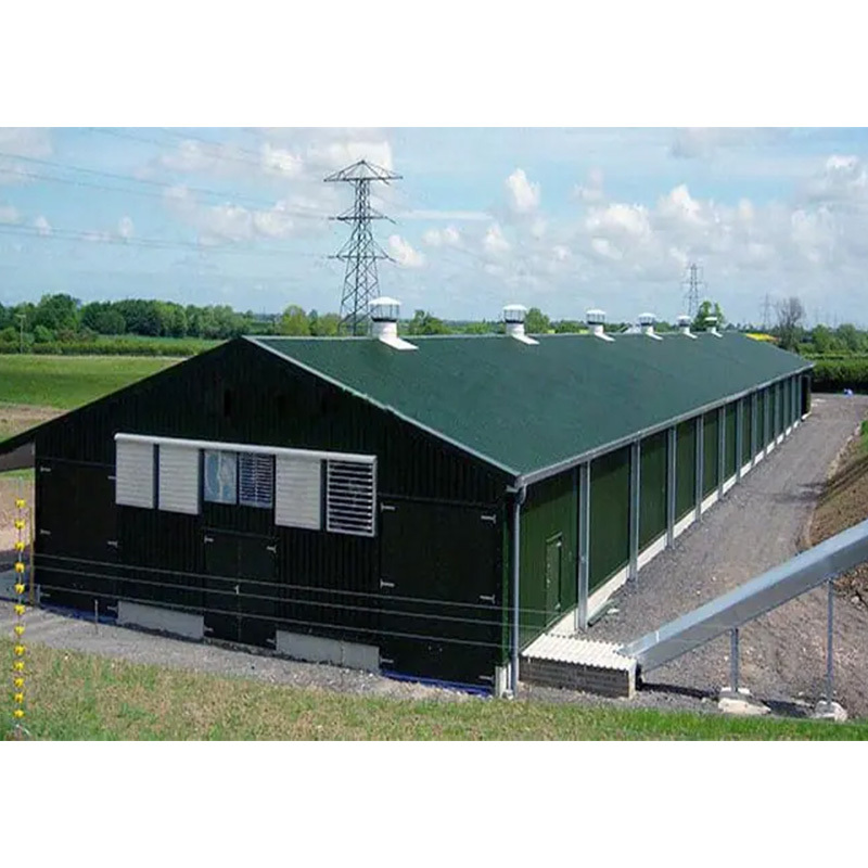 Prefabricated steel-built dairy farm / chicken farm / duck farm / pig pen / sheep pen