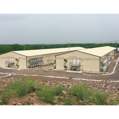 Prefabricated pigsty construction / Pigsty design for pig farms / Cattle farm / Animal shed / Steel structure pigsty