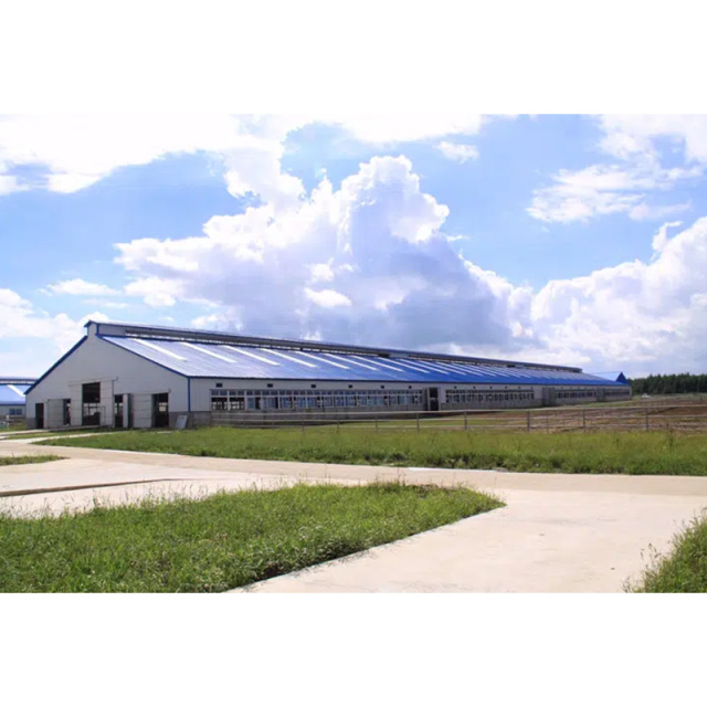 Cattle shed farm building / Cattle shed
