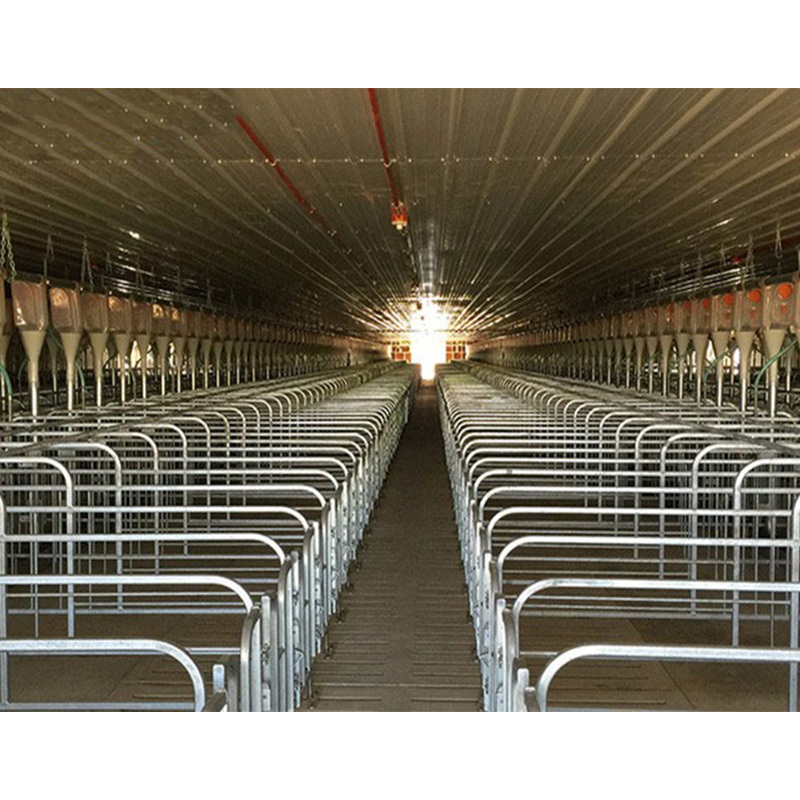 Prefabricated steel-built dairy farm / chicken farm / duck farm / pig pen / sheep pen