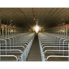 Prefabricated steel-built dairy farm / chicken farm / duck farm / pig pen / sheep pen
