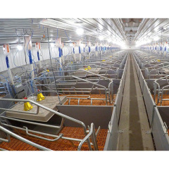 Construction Farm Design Steel Structure Pig Shed