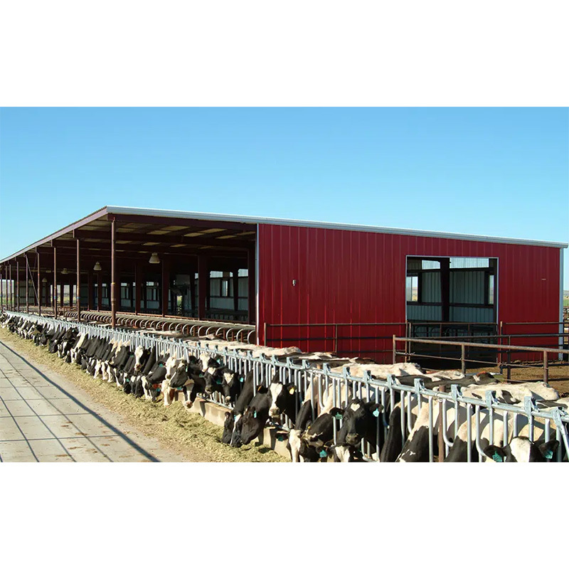 Q235/Q355 Light Prefabricated Cattle Shed Steel Structures