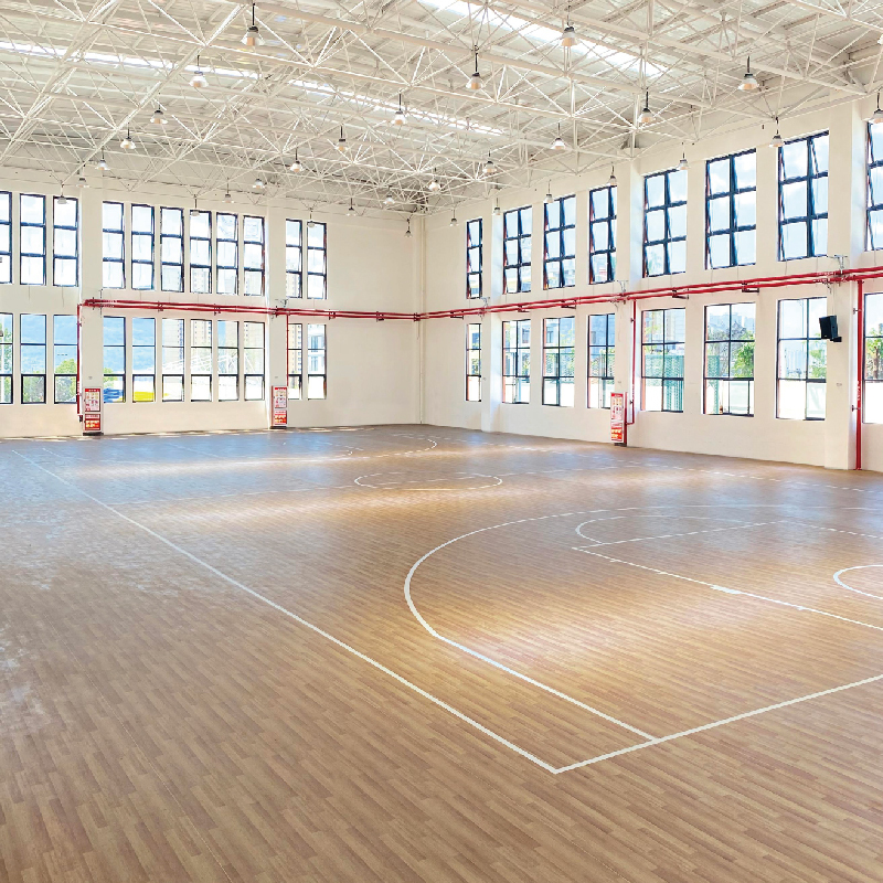 Large Space Structure Sports Hall Steel Stadium Building Prefabricated Gymnasiums Indoor Basketball Court Modern Industrial