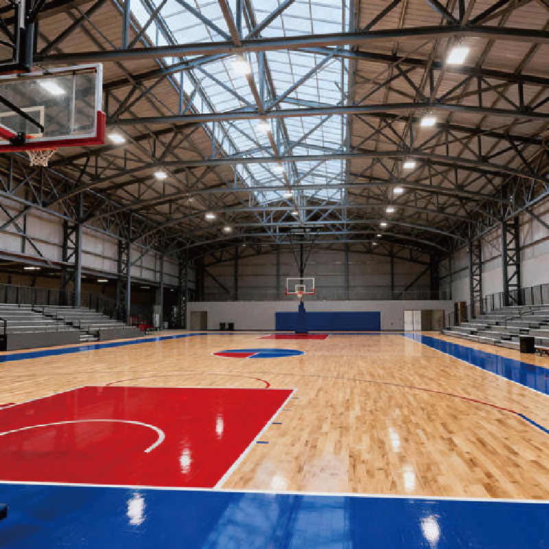 Modern design of steel structure buildings / Large-space structure sports venues / Steel stadiums / Gymnasiums