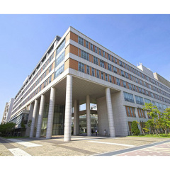 Multi-story building steel structure / Hotel building / Metal office building / Prefabricated shopping mall