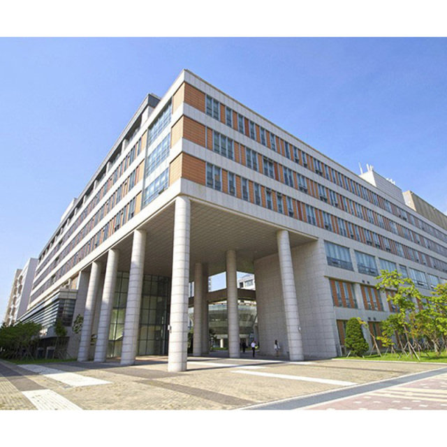 Multi-story building steel structure / Hotel building / Metal office building / Prefabricated shopping mall