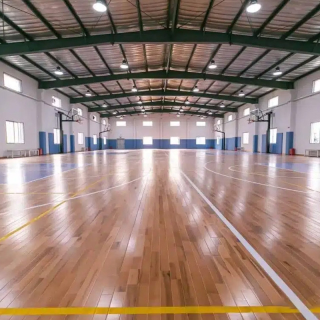 Large Space Structure Sports Hall Steel Stadium Building Prefabricated Gymnasiums Indoor Basketball Court Modern Industrial