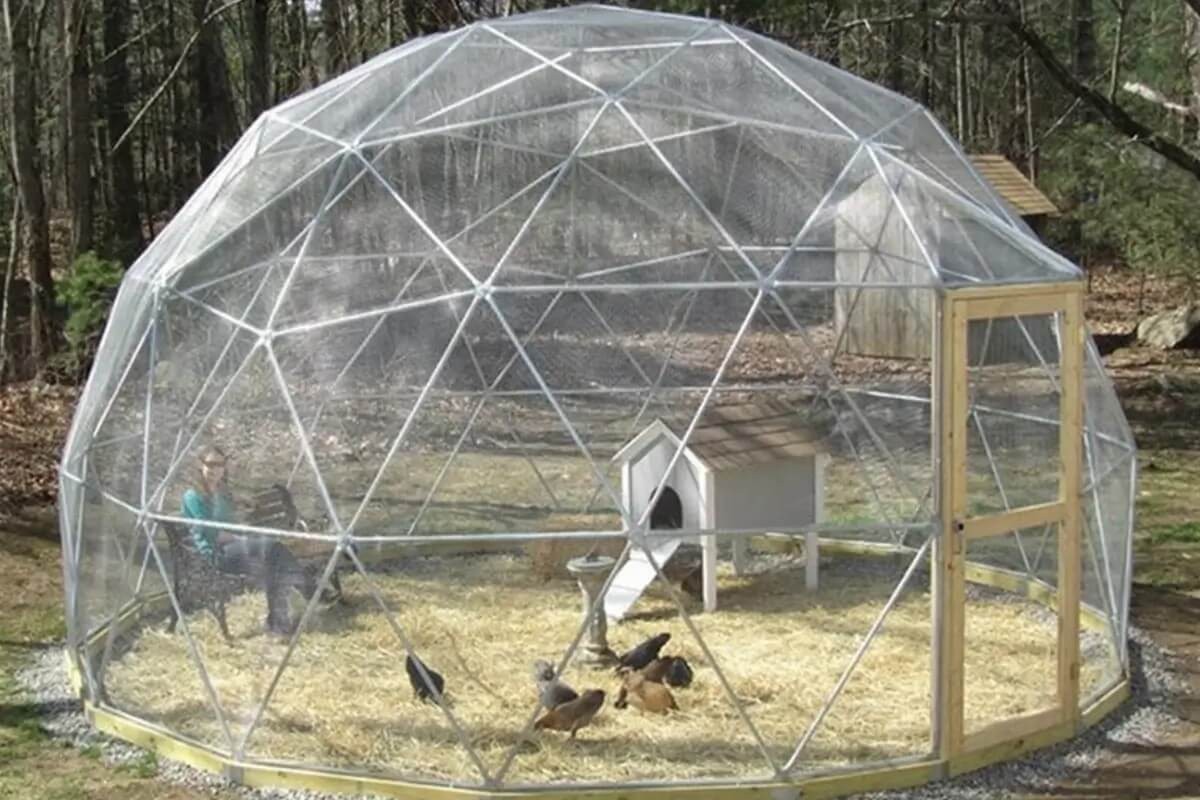 Clear tarpaulin Available Wordwide