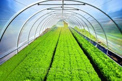 Clear tarpaulin Available Wordwide