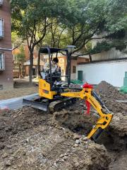 Kubota Engine Yanmar Engine China Factory LiuGong 9017FZTS 9018F 1.7 tonne 1.8 tonne mini crawler excavator steel tracks