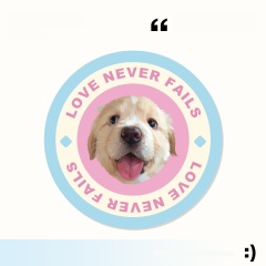 Custom-made cartoon pet round carpet, thickened skin-friendly carpet for the living room, and bedside carpet for the bedroom