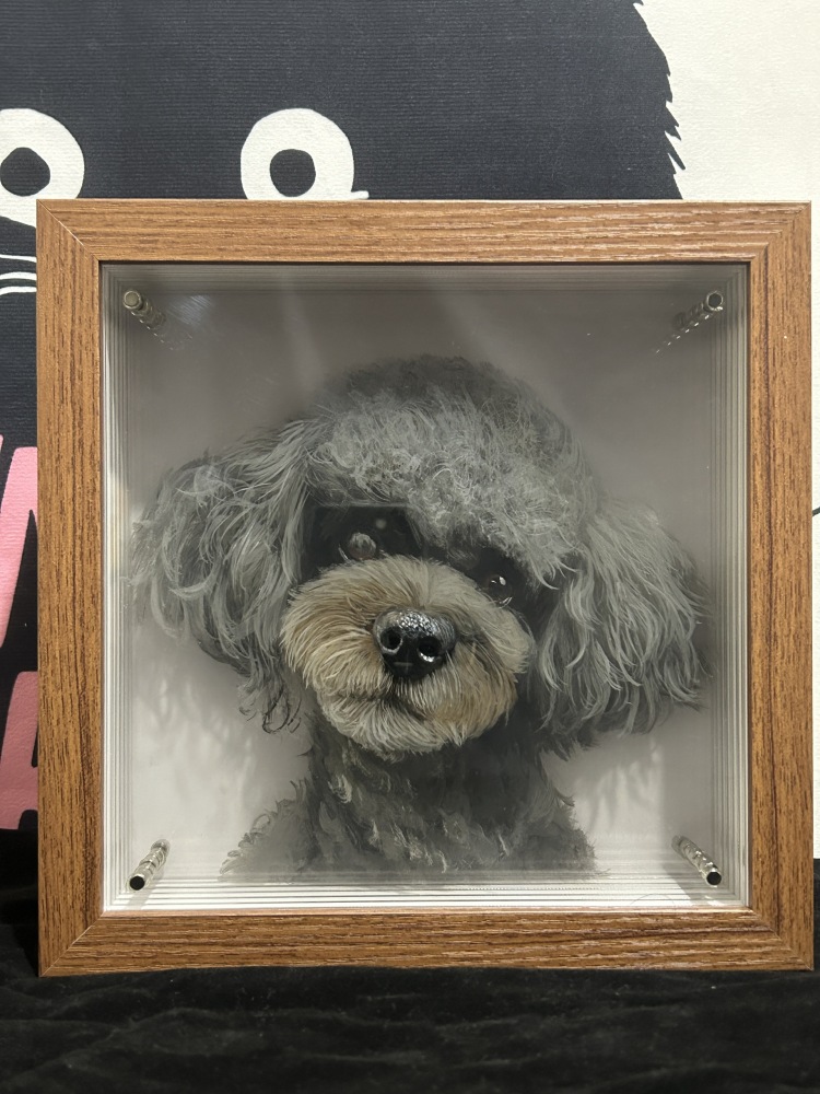 Customized pet peripheral hand-painted pet cats, dogs, parrots, multi-layered three-dimensional paintings, and layered paintings. Pets can be used as souvenirs and given as gifts