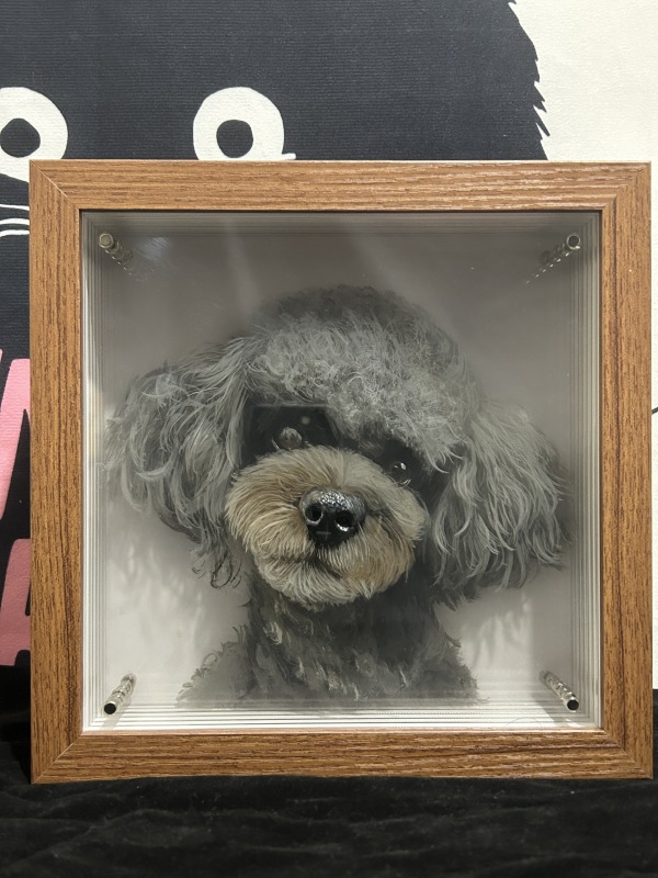 Customized pet peripheral hand-painted pet cats, dogs, parrots, multi-layered three-dimensional paintings, and layered paintings. Pets can be used as souvenirs and given as gifts