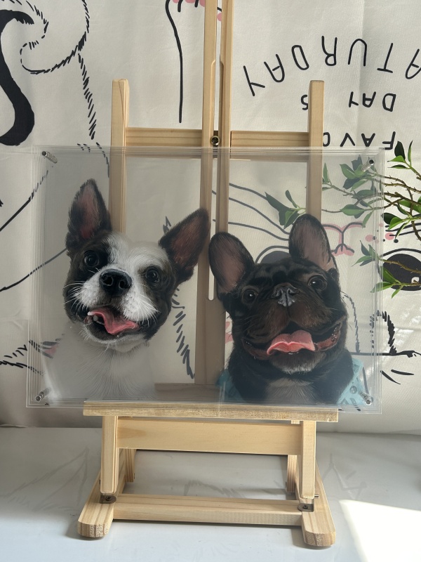 Customized pet peripheral hand-painted pet cats, dogs, parrots, multi-layered three-dimensional paintings, and layered paintings. Pets can be used as souvenirs and given as gifts