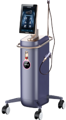 HONKON DIBAMI 448 kHz INA-GX01 2025