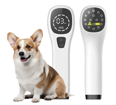 Vet Handheld Laser Device