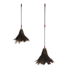 Ostrich Feather Telescopic Dusters