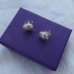 Beautiful Design Sterling Silver High Polish Tiny Shell Stud Earrings Designer