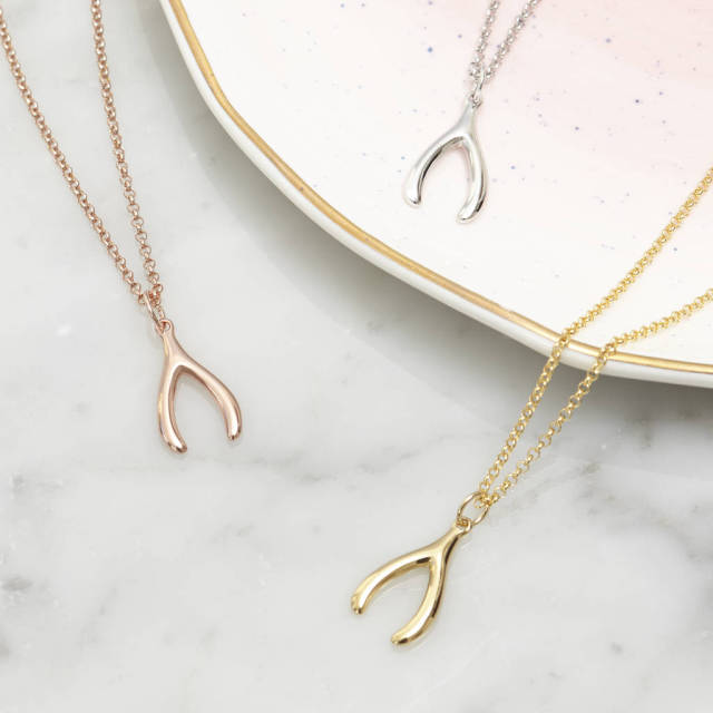 Sterling Silver Wishbone Lucky Necklace for Women