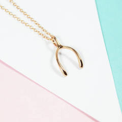 Sterling Silver Wishbone Lucky Necklace