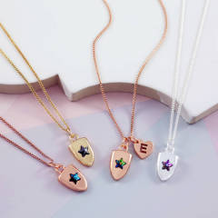 Dainty Design Sterling Silver Crystal Mini Shield Necklace