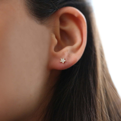 Sterling Silver 14K Gold Cubic Zirconia Tiny Star Stud Earrings