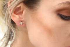 Landou Jewelry 14K Gold Plated Starburst Cubic Zirconia Earrings 925 Sterling Silver