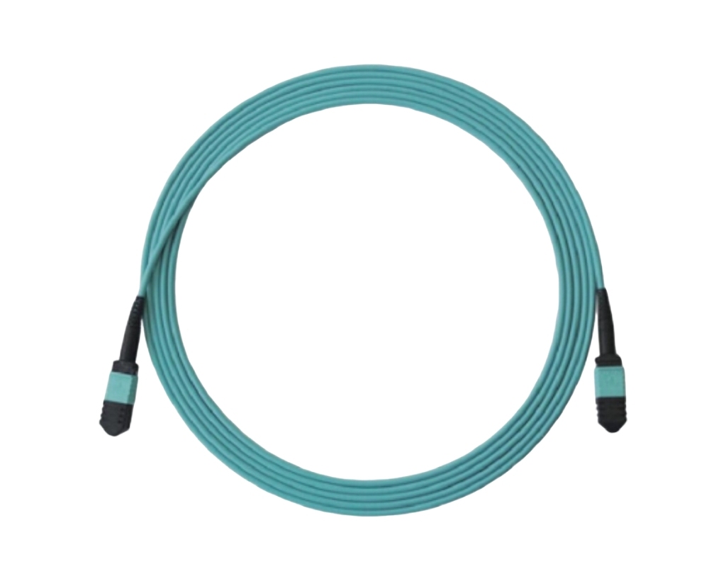 MPO Fiber Optic Jumper, GTX312, 12-Core, LSOH， MPO-MPO Female