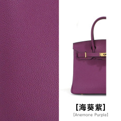 Anemone Purple，