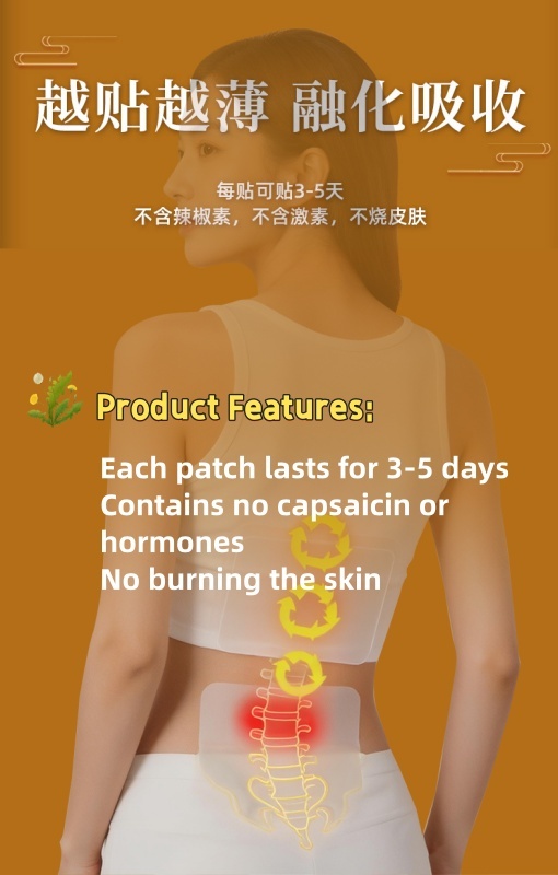 DZ Pain Relief Medicated Plaster (in boxes)—Crafted by refining a selection of 36 premium precious herbal ingredients